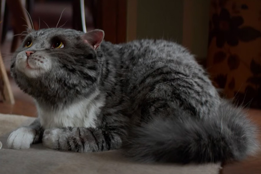 Mog-Sainsbury's-Christmas-Advert