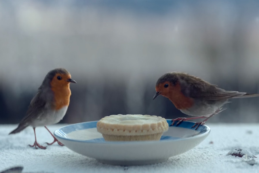 Waitrose-Christmas-Advert