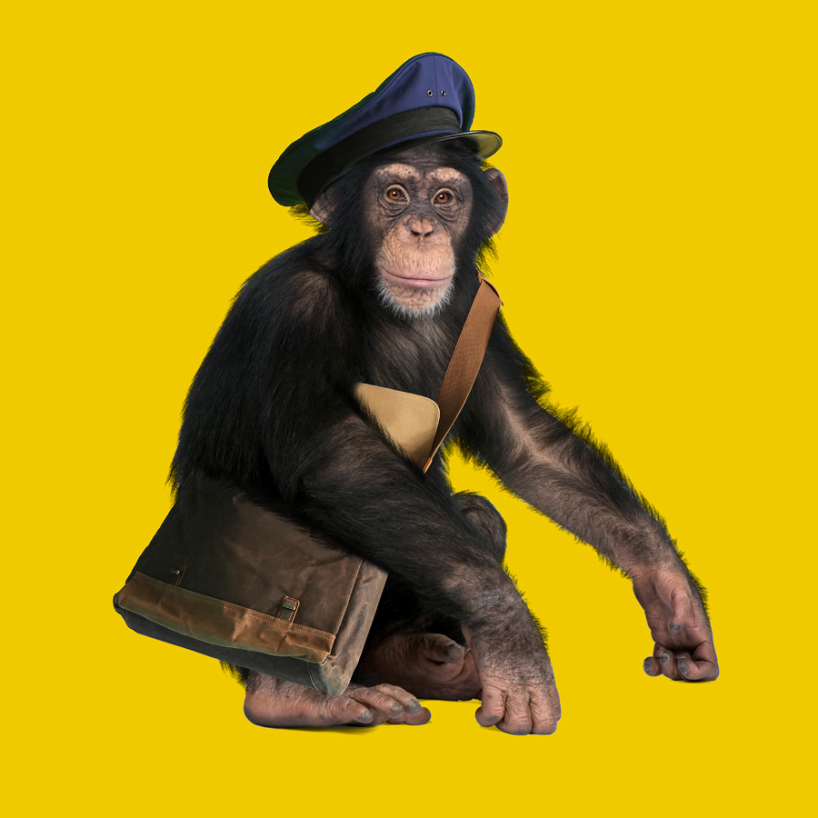 mail-chimp-email-marketing-mgt-design Mail Chimp Email Marketing by MGT Design
